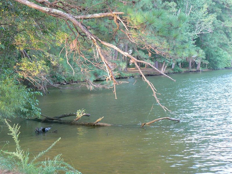 018-Drive along the lake.JPG